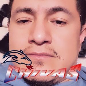 Meet your Posher, Hector